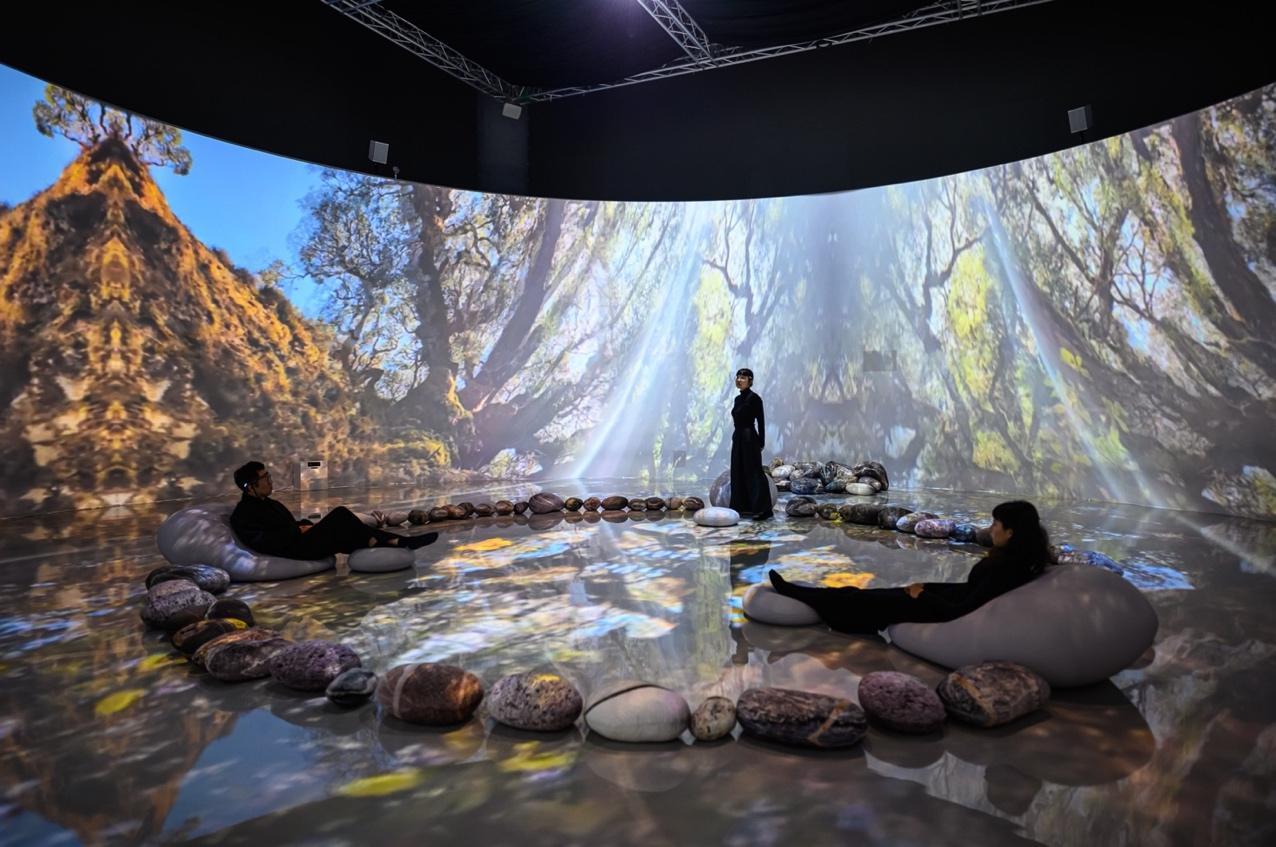 α-Forest 阿爾法聲林 Photo